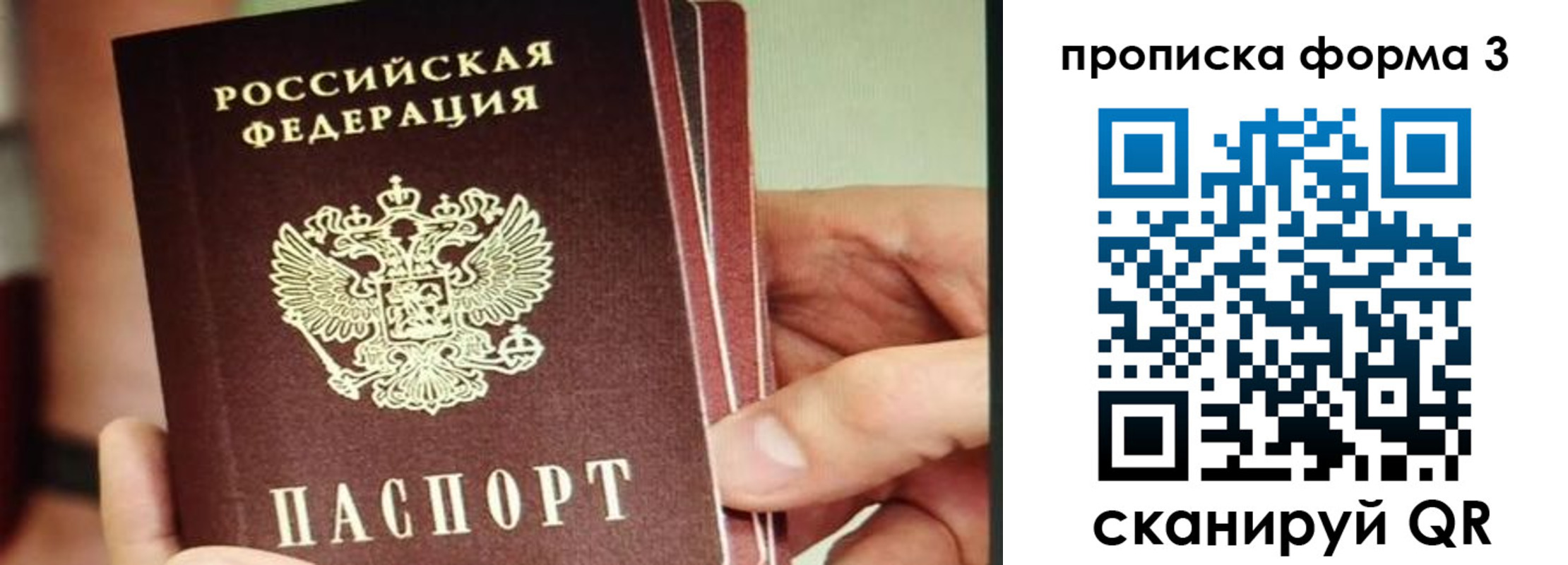 прописка законно в Рязанской области